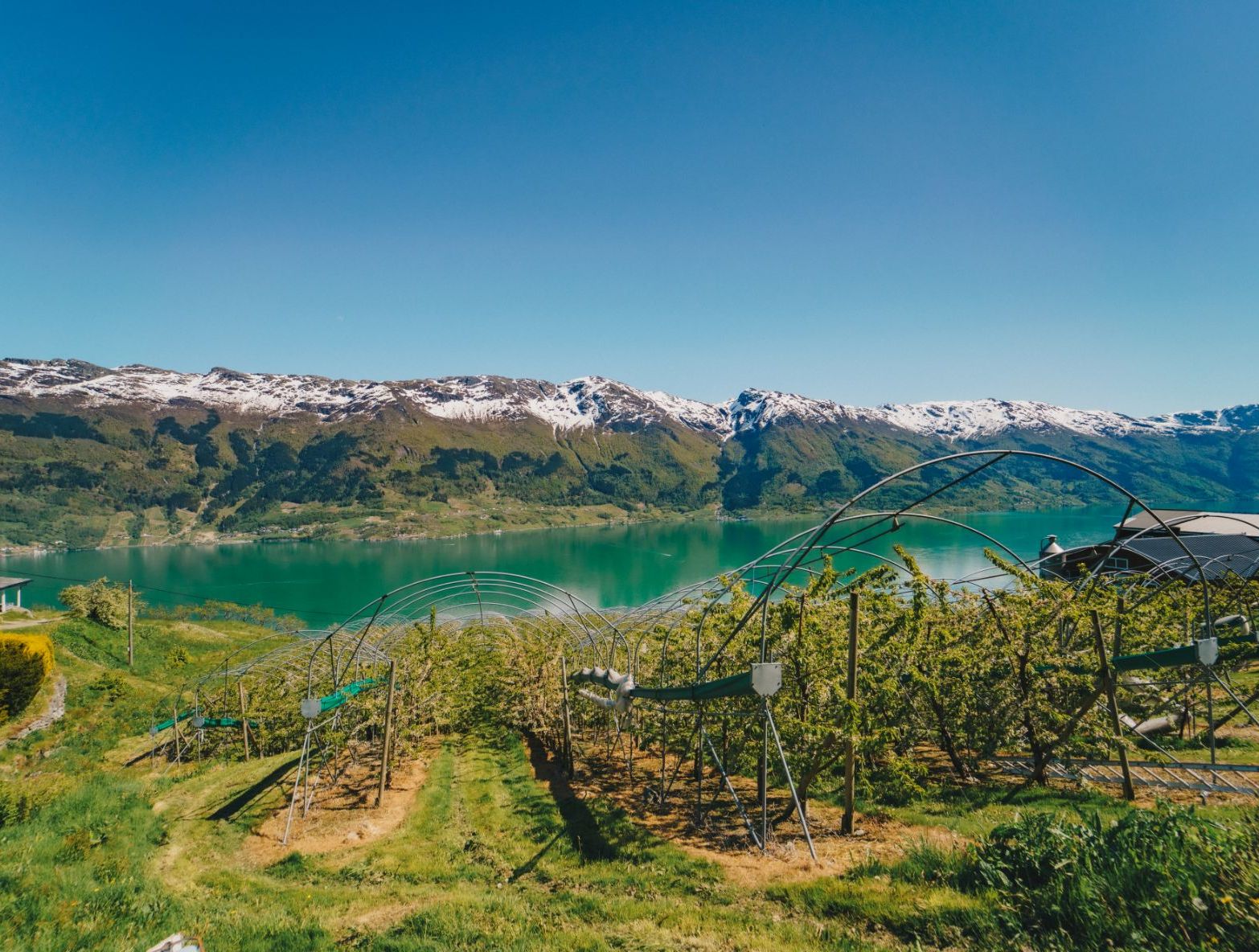 Landscape in Hardanger with snowy mountains and spectacular nature