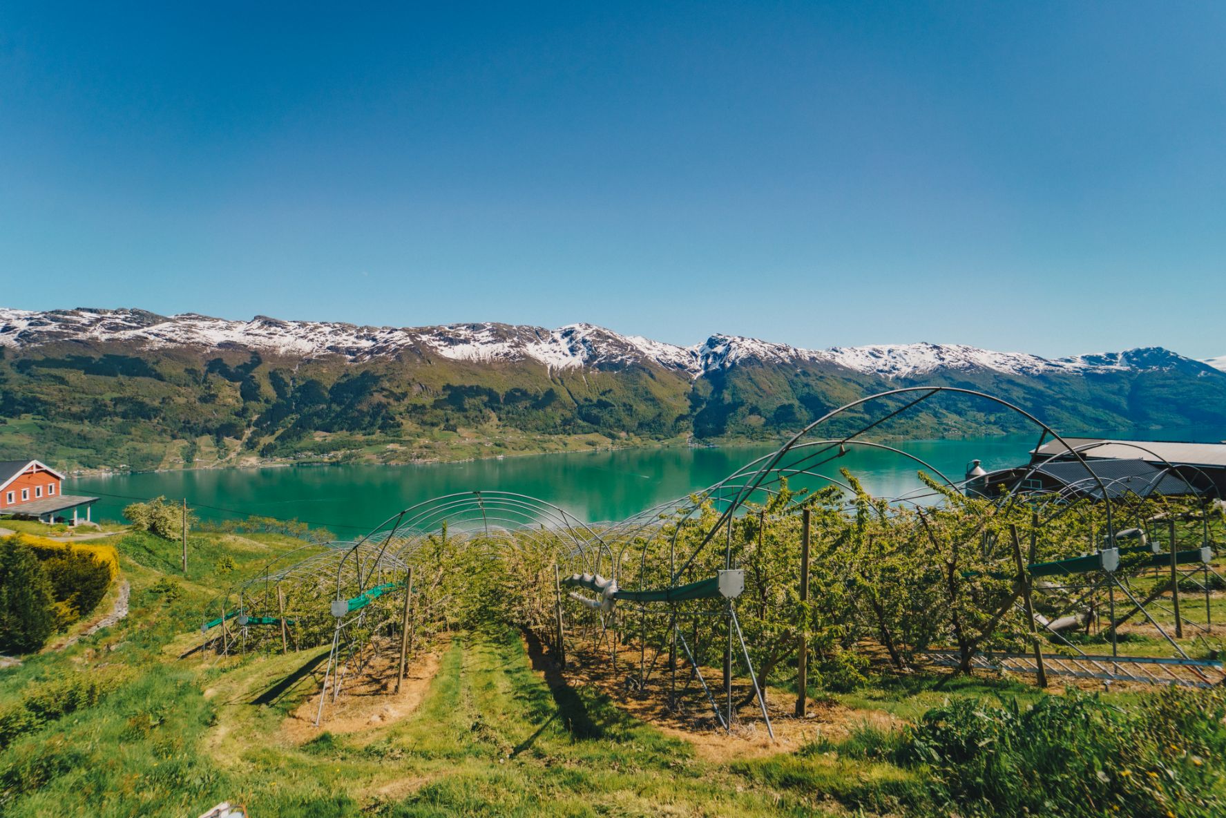 Landscape in Hardanger with snowy mountains and spectacular nature