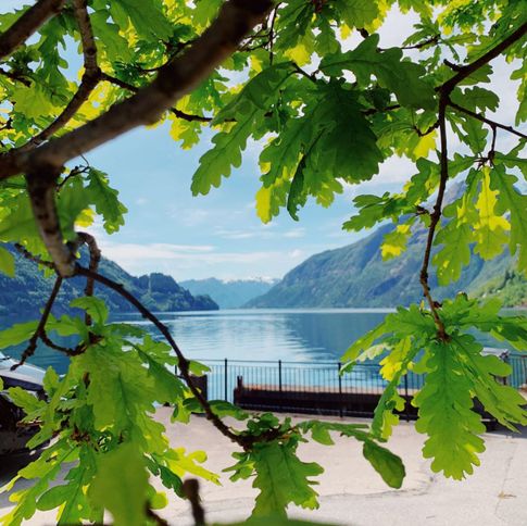 Vadheim nature