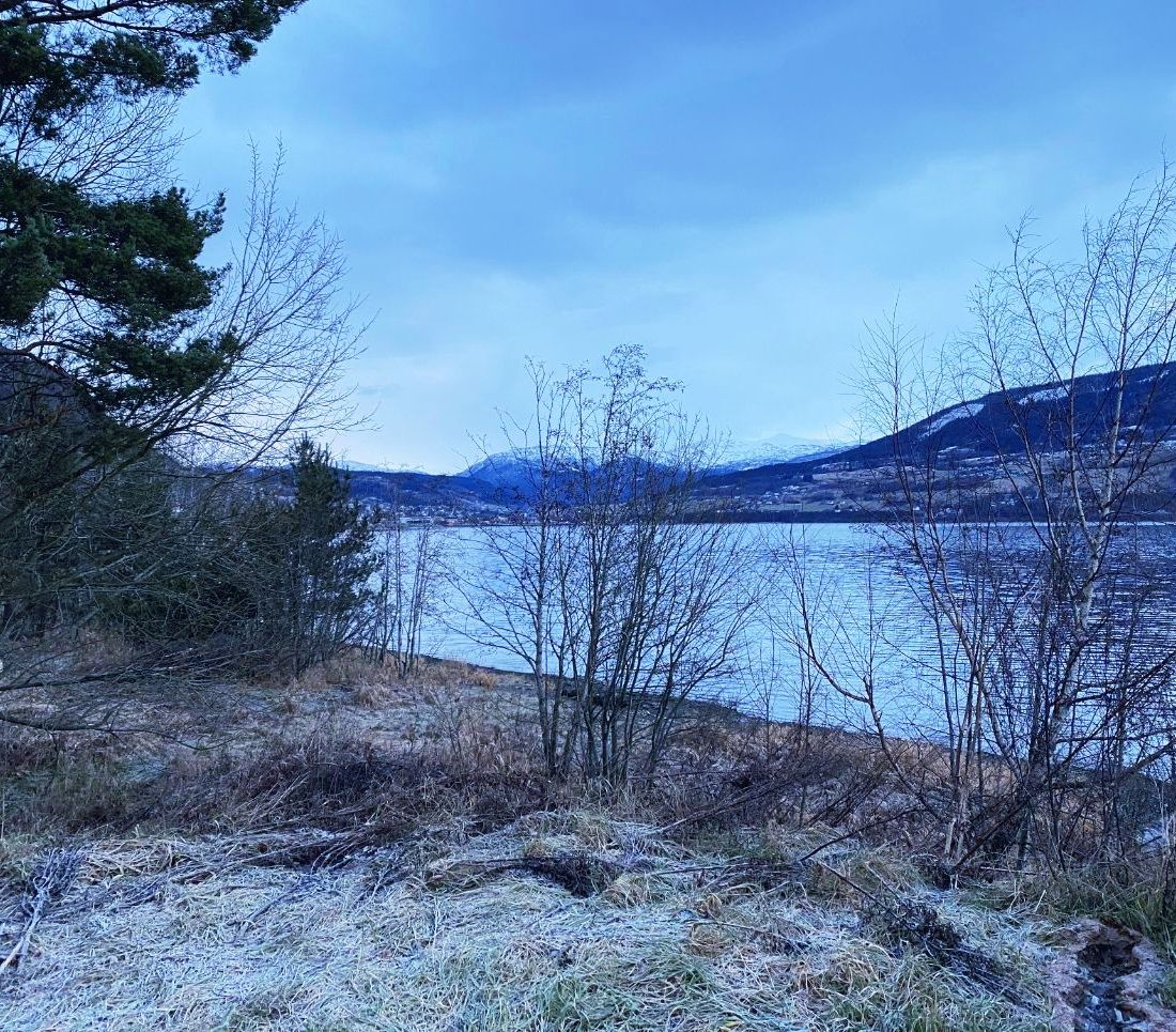 View on winter tour
