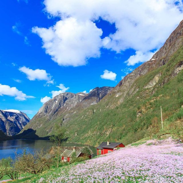 Nærøyfjorden 