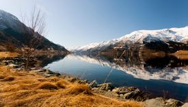 Hardangerfjord