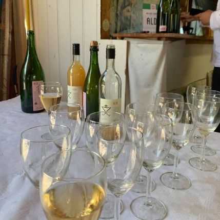 Cider tasting at Alde cider