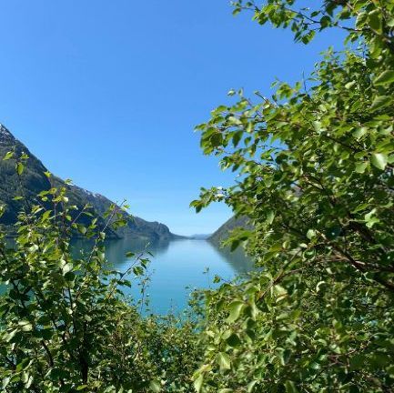 Hardanger landscape